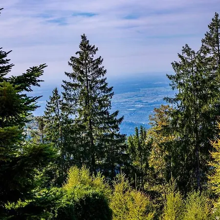 Dom wakacyjny Sonnenhausle - Natur. Fernblick. Panorama-sauna. Sasbachwalden